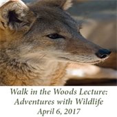 Walk in the Woods Lecture: Adventures with Wildlife (April 6, 2017)