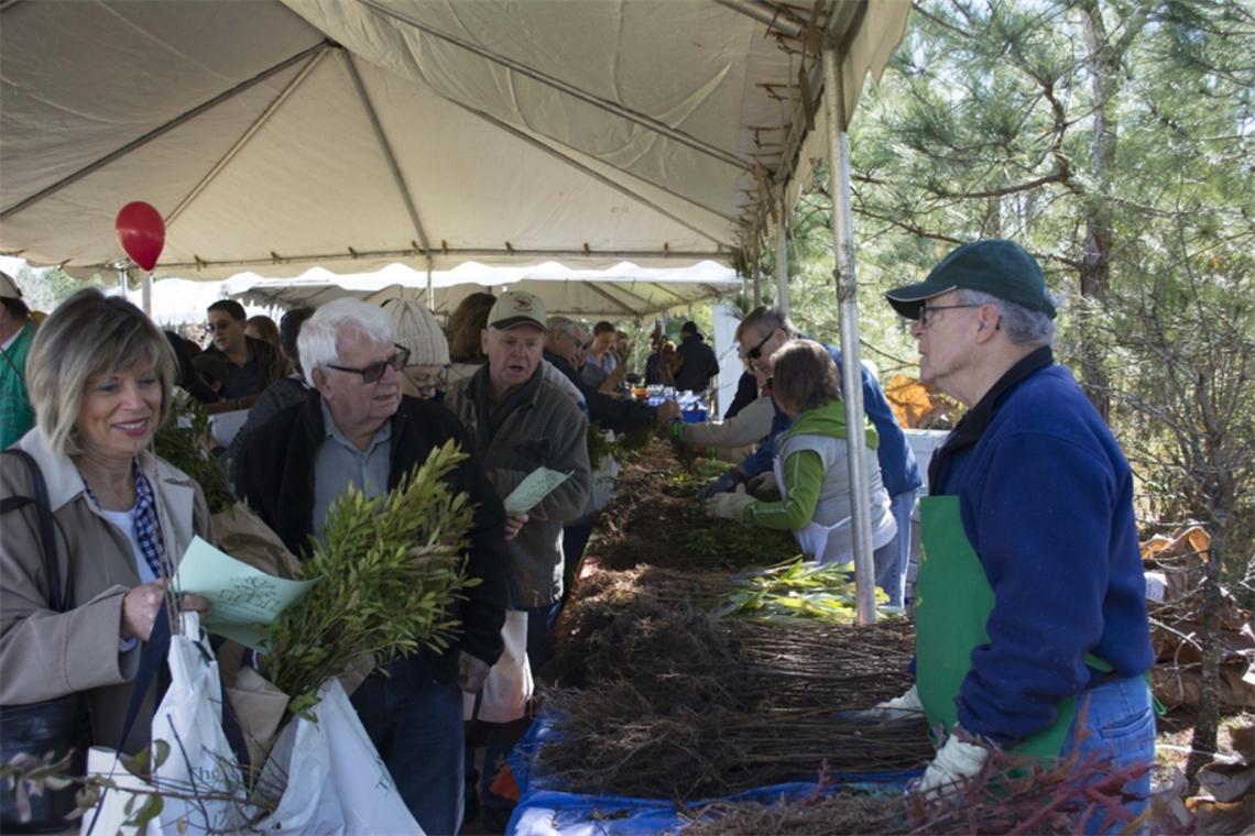 Photo of smiling people holding tree saplings