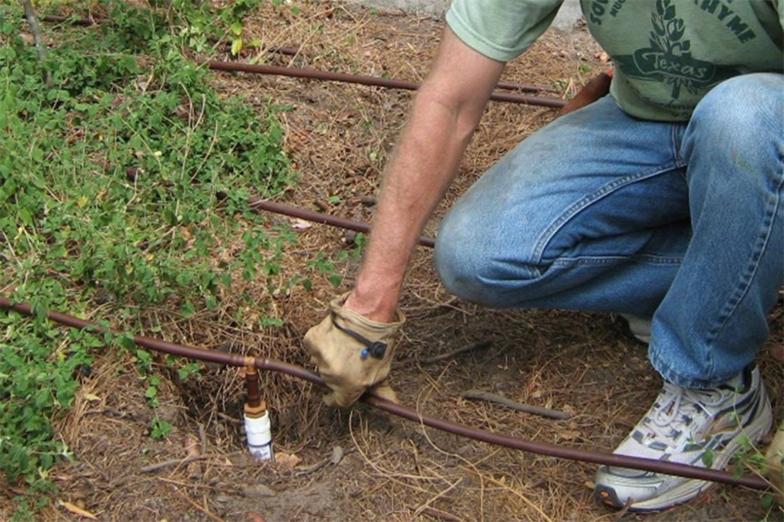 Photo of a drip irrigation system