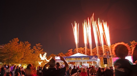 Photo of fireworks in a dark sky