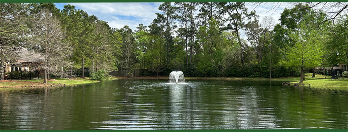 Photo of a park pond with a water fountain
