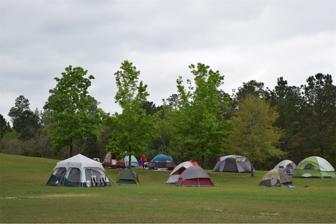 Photo of tents on a grassy hill