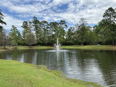 Photo of a pond with a water feature