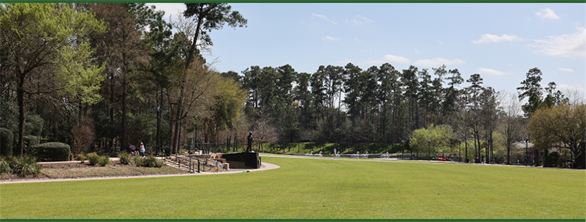 Photo of a large green grass field