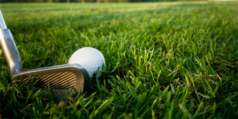 A white golf ball on green grass