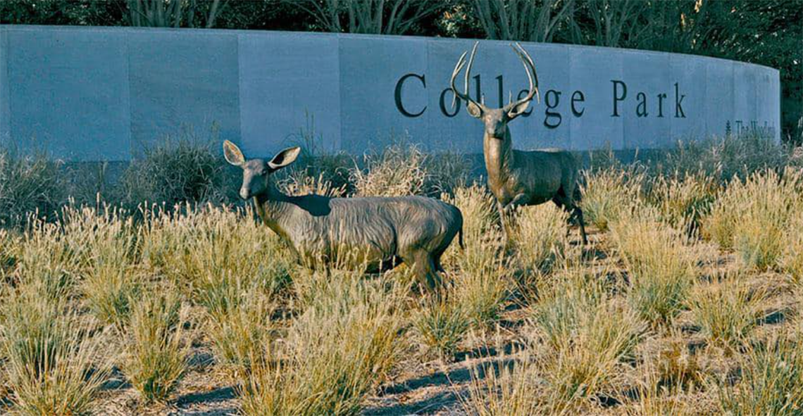 Photo of College Park Sign