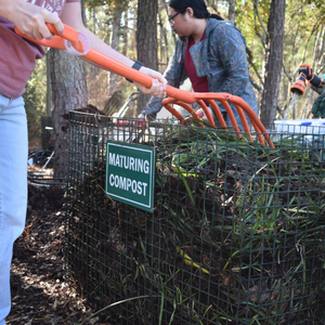 Volunteers using garden tools to turn an outdoor compost pile