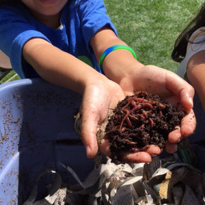 Child holding worms in their hands over a compost bin