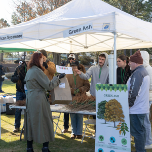 Woman receiving green ash tree seedlings at the 2026 Arbor Day Tree Giveaway
