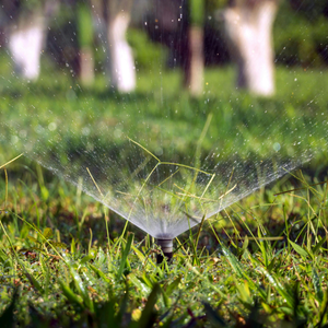 Sprinkler spraying in the grass