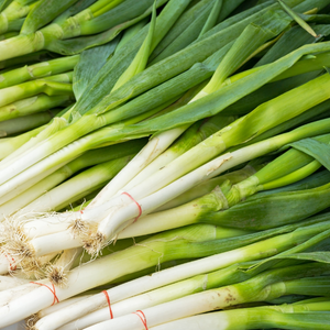 Onions separated into groups with rubber bands