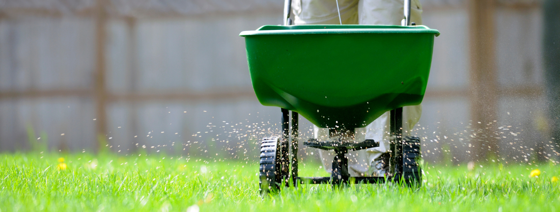 A person using a fertilizer sprayer on a lawn
