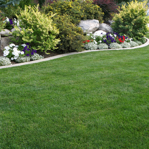 Lawn with garden in the background