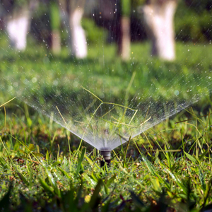 Sprinkler head watering a lawn