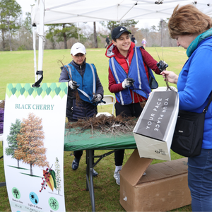 Volunteer handing a woman a black cherry tree seedling from a table