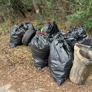 Invasive vines placed in black trash bags
