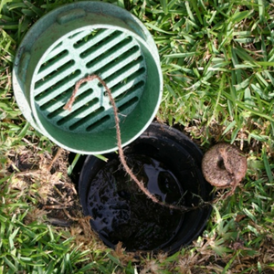 An irrigation valve box with open lid to show water inside