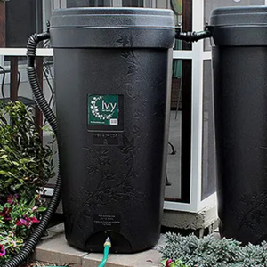 Two connected rain barrels with a hose attached to the spigot