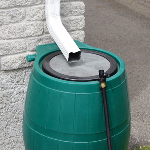 Rain barrel with a screen under a downspout