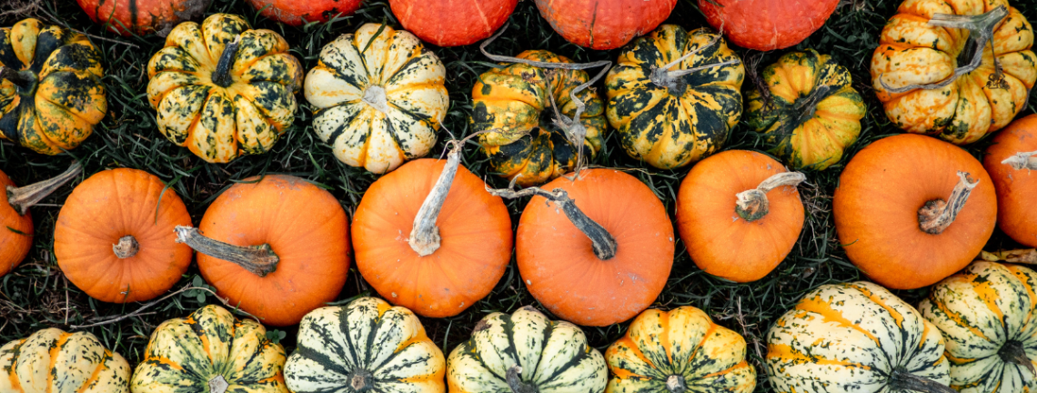 A variety of pumpkins and goards