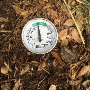 Compost thermometer inserted in a compost pile
