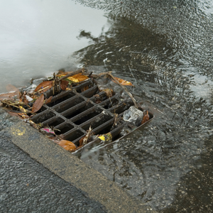 Storm drain with debris in the grate and water around it