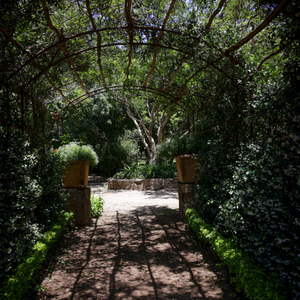 Shady archway with plants growing around it