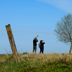 Two people photographing birds in an open field