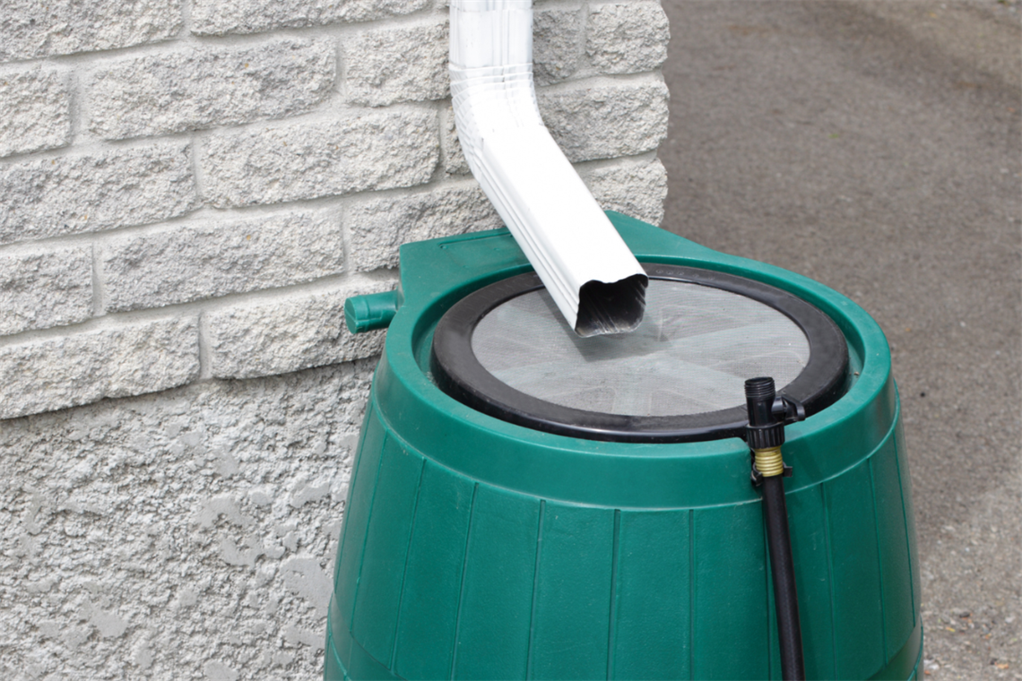 Image of a green rain barrel with a downspout from a house
