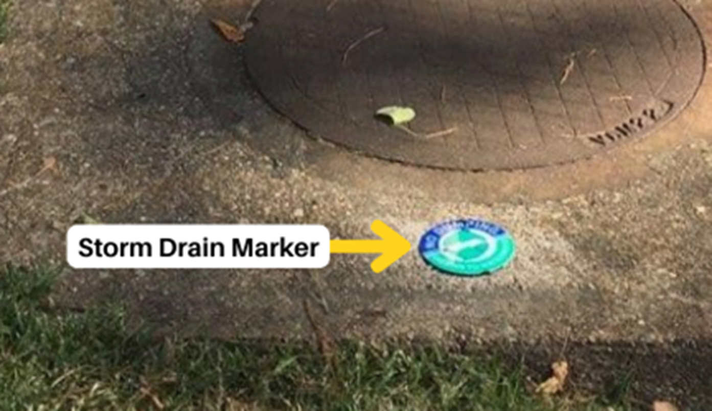 A arrow pointing to a green and blue storm drain marker placed next to the drain