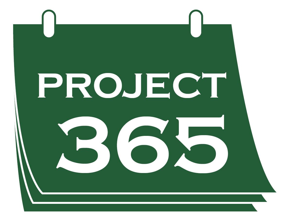 Image of green text "Project 365"