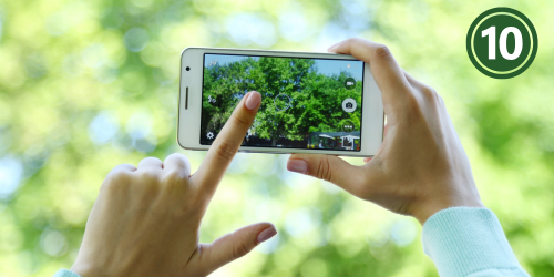 Hands holding a cell phone taking a picture of green trees