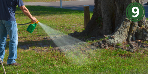 A person using a water hose with a fertilizer bottle attached watering green grass