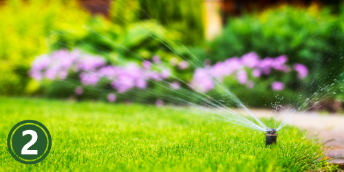 A water sprinkler watering green grass and purple flowers